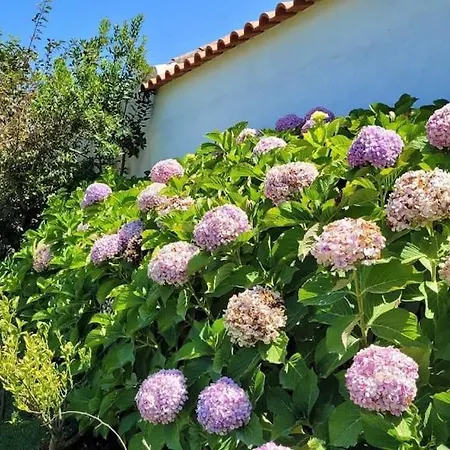 Casa Do Patio - Tres Charmante 12 Personnes 5ch Avec Piscine São Bartolomeu