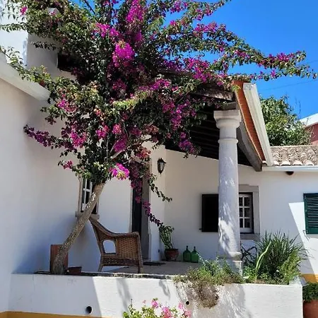 Vila Casa Do Patio - Tres Charmante 12 Personnes 5ch Avec Piscine