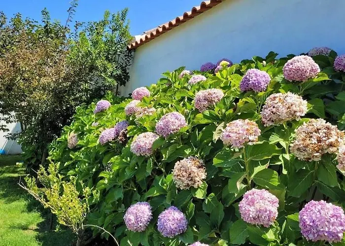Casa Do Patio - Très Charmante 12 Personnes 5ch Avec Piscine São Bartolomeu