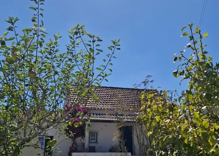 Casa Do Patio - Très Charmante 12 Personnes 5ch Avec Piscine